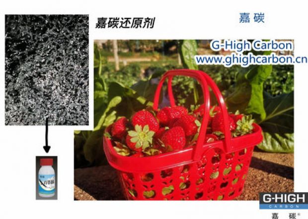 嘉碳還原劑守護(hù)“莓”好，甜蜜上線