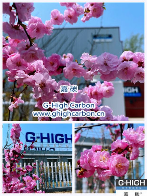 環(huán)保嘉碳，春花爛漫